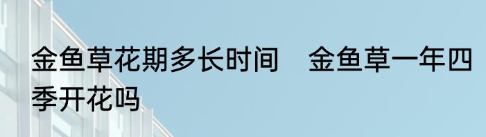 金鱼草花期多长时间　金鱼草一年四季开花吗