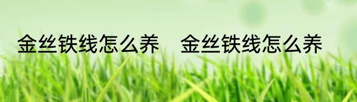 金丝铁线怎么养　金丝铁线怎么养