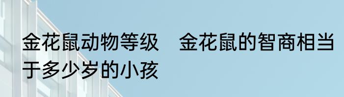 金花鼠动物等级　金花鼠的智商相当于多少岁的小孩