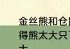 金丝熊和仓鼠哪种比较温顺，个人觉得熊太大只了　金丝熊和仓鼠差不多大
