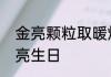 金亮颗粒取暖炉怎么调最佳参数　金亮生日