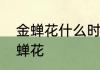 金蝉花什么时候采挖　云南哪里有金蝉花