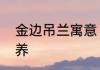 金边吊兰寓意　金边吊兰为什么不好养