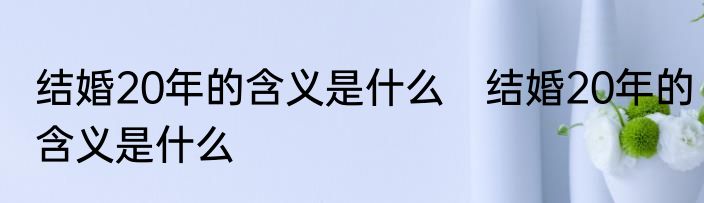 结婚20年的含义是什么　结婚20年的含义是什么