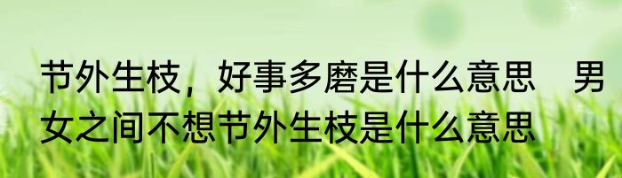 节外生枝，好事多磨是什么意思　男女之间不想节外生枝是什么意思