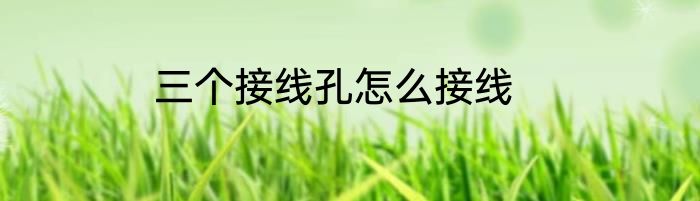 三个接线孔怎么接线