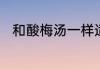 和酸梅汤一样适合夏天冲泡的饮料