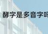 酵字是多音字吗　无酵饼的酵字读法