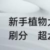 新手植物大战僵尸如何在超z联赛中速刷分　超z联赛怎么快速出僵尸