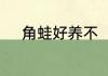 角蛙好养不　角蛙好养吗咬人吗