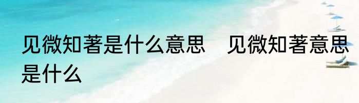 见微知著是什么意思　见微知著意思是什么