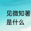 见微知著是什么意思　见微知著意思是什么