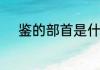 鉴的部首是什么　金和鉴的部首