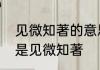 见微知著的意思和造句　知微见诸还是见微知著