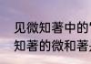 见微知著中的“著”是什么意思　见微知著的微和著是什么意思
