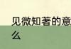 见微知著的意思　见微知著意思是什么