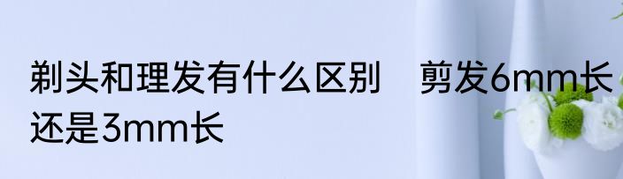 剃头和理发有什么区别　剪发6mm长还是3mm长