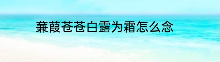 蒹葭苍苍白露为霜怎么念