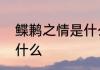 鲽鹣之情是什么意思　兼鸟鲽情深读什么