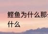 鲣鱼为什么那么便宜　鲣鱼在茂名叫什么