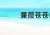 蒹葭苍苍白露为霜怎么念