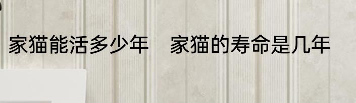 家猫能活多少年　家猫的寿命是几年
