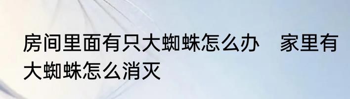 房间里面有只大蜘蛛怎么办　家里有大蜘蛛怎么消灭