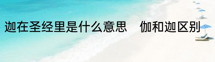 迦在圣经里是什么意思　伽和迦区别