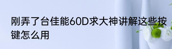 刚弄了台佳能60D求大神讲解这些按键怎么用
