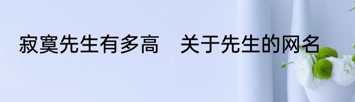 寂寞先生有多高　关于先生的网名