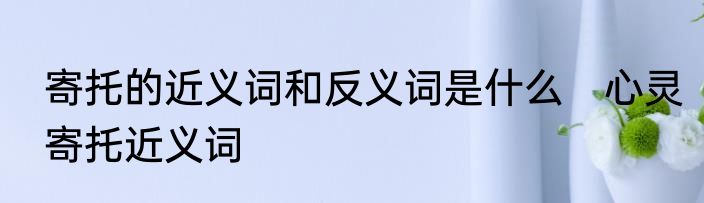 寄托的近义词和反义词是什么　心灵寄托近义词