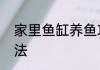 家里鱼缸养鱼攻略　家庭鱼缸养鱼方法