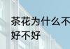 茶花为什么不能放在客厅　家养茶花好不好