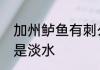 加州鲈鱼有刺么　加州鲈鱼是海水还是淡水