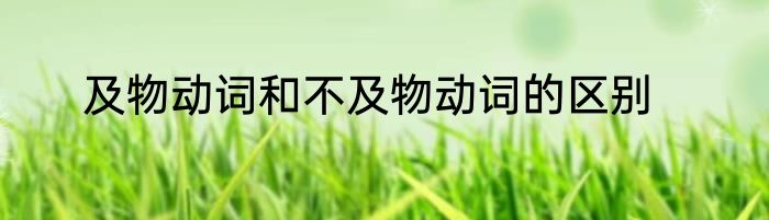 及物动词和不及物动词的区别