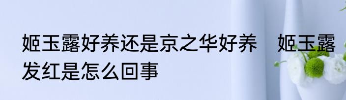 姬玉露好养还是京之华好养　姬玉露发红是怎么回事