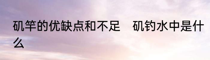 矶竿的优缺点和不足　矶钓水中是什么