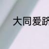 大同爰跻的读音　跻、侪的读音