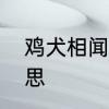 鸡犬相闻的意思　鸡犬相闻的相的意思