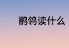 鹡鸰读什么　“鹡鸰”怎么念啊