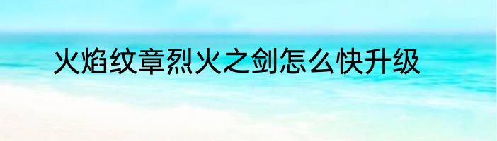 火焰纹章烈火之剑怎么快升级