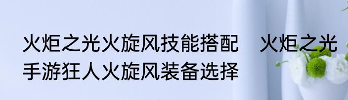 火炬之光火旋风技能搭配　火炬之光手游狂人火旋风装备选择
