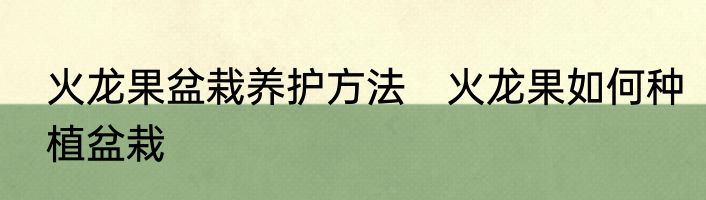 火龙果盆栽养护方法　火龙果如何种植盆栽