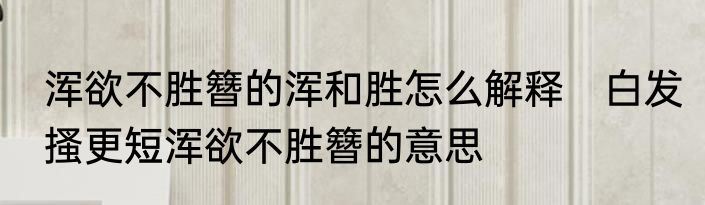 浑欲不胜簪的浑和胜怎么解释　白发搔更短浑欲不胜簪的意思