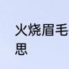 火烧眉毛技能有什么用　火烧眉的意思