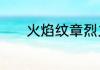 火焰纹章烈火之剑怎么快升级