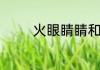 火眼睛睛和火眼金睛的区别