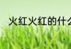 火红火红的什么填词语一年级下册