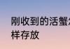 刚收到的活蟹怎么储存　活螃蟹该怎样存放