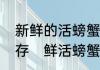 新鲜的活螃蟹可以保存多久，怎么保存　鲜活螃蟹怎么储存